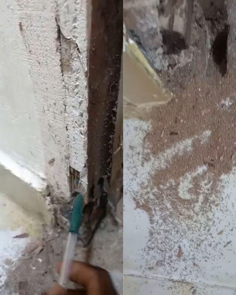 termite-infested wooden door Lagos before replacement