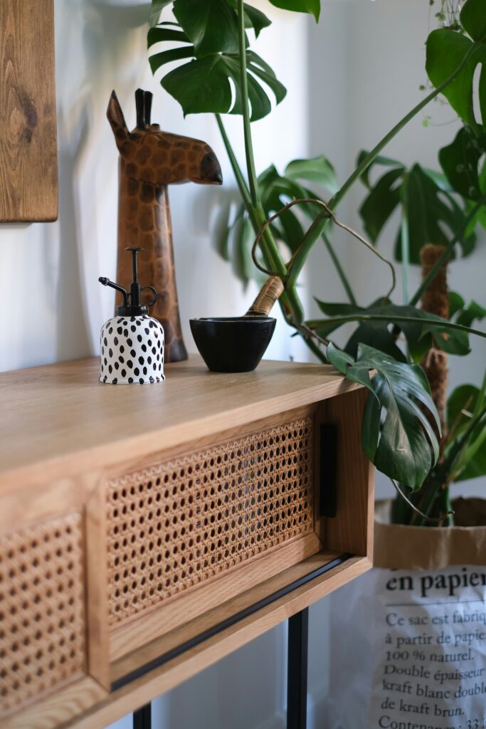 Natural wood and rattan furniture with indoor plant for biophilic interior design